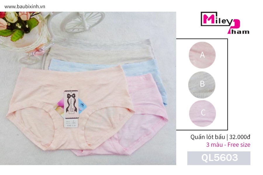 QUẦN LÓT COTTON TRƠN XƯỚC