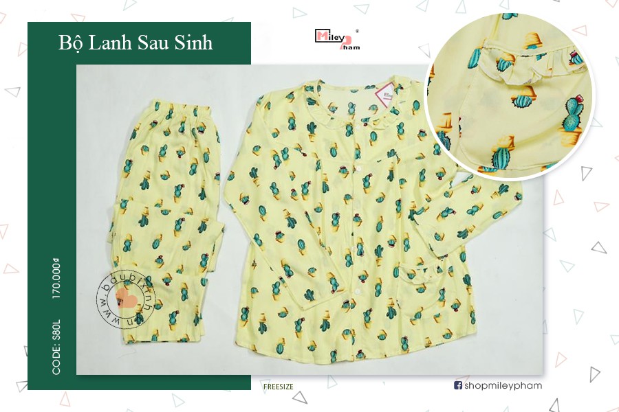 BỘ LANH SAU SINH CÂY XƯƠNG RỒNG TRÒN