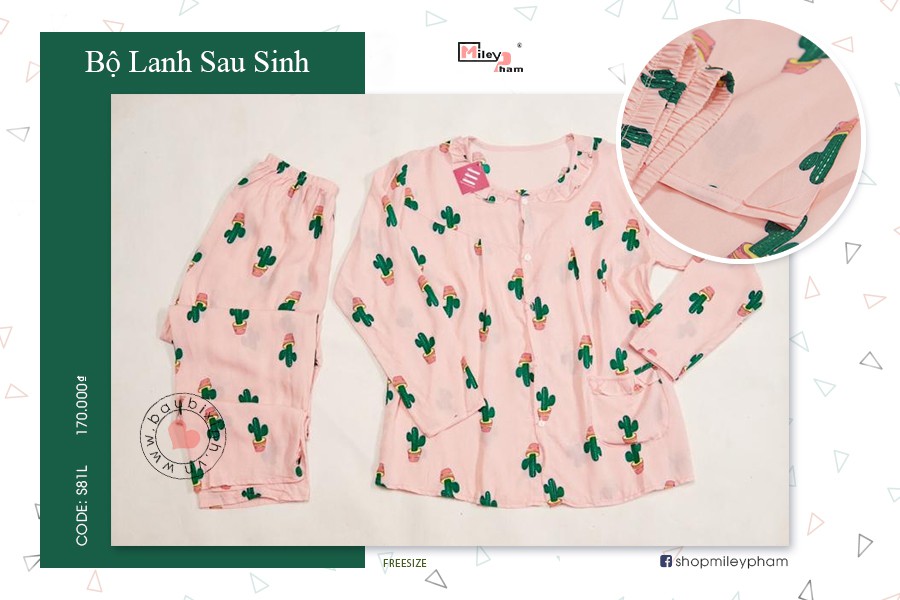 BỘ LANH SAU SINH CÂY XƯƠNG RỒNG HOẠT HÌNH