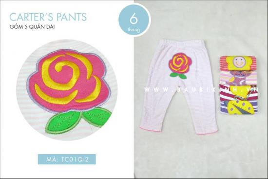 CARTER'S PANTS (1 SET GỒM 5 QUẦN DÀI 6M)