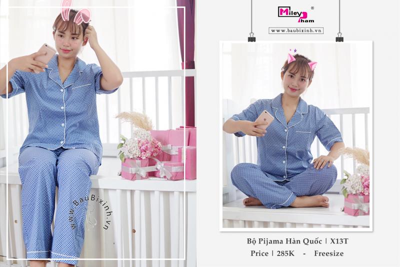 BỘ PIJAMA BẦU BÚ HÌNH ELIP NỀN XANH