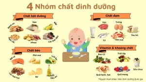 Thực đơn ăn dặm 30 ngày cho bé 6 tháng theo tuần