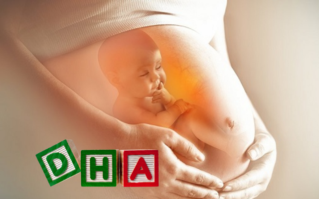 bổ sung dha trong thai kỳ cho thai nhi