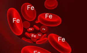 Dấu hiệu thiếu sắt ở trẻ nhỏ: 9 biểu hiện cha mẹ cần nhận biết sớm