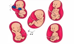 Thai máy nhiều có sao không? Khi nào cử động thai là dấu hiệu bất thường