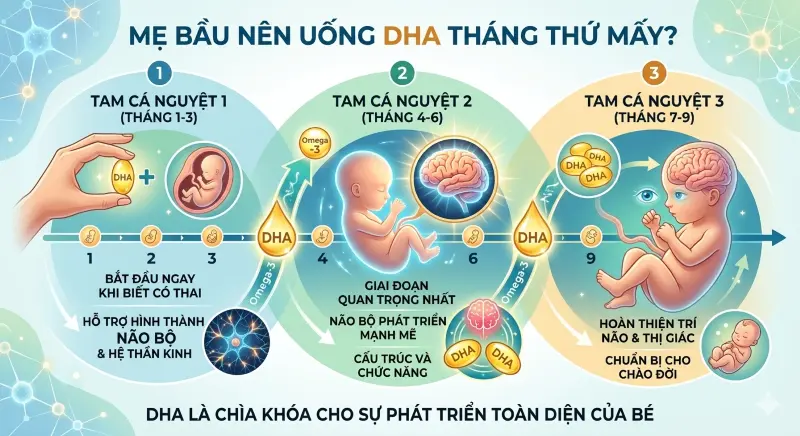 mẹ bầu nên uống dha trong suốt thai kỳ