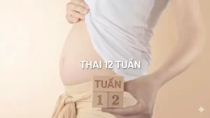 Thai 12 tuần: Thai nhi phát triển như thế nào và kích thước bao nhiêu?