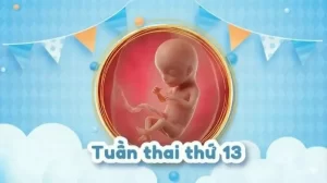 Thai 13 tuần: Mốc kết thúc 3 tháng đầu, mẹ cần lưu ý điều gì?