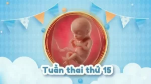 Thai 15 tuần: Mẹ đã cảm nhận được thai máy chưa?
