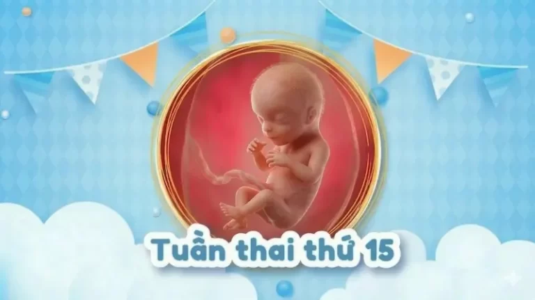 Thai 15 tuần: Mẹ đã cảm nhận được thai máy chưa?