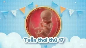 Thai 17 tuần: Bé ngày càng hiếu động, mẹ cần lưu ý gì?