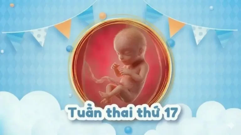Thai 17 tuần: Bé ngày càng hiếu động, mẹ cần lưu ý gì?