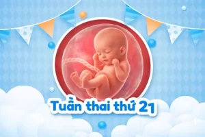 Thai 21 tuần phát triển thế nào? Mẹ cần bổ sung gì?