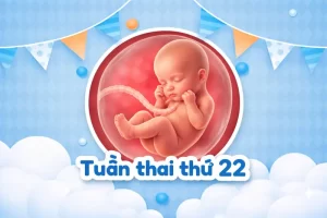 Thai 22 tuần: Thai nhi đã nghe được âm thanh chưa?