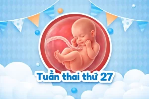 Thai 27 tuần: Mốc chuyển sang 3 tháng cuối mẹ cần chuẩn bị gì?