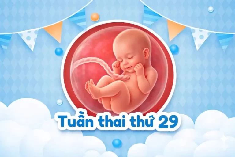 Thai 29 tuần phát triển như thế nào? Mẹ bắt đầu nặng nề hơn