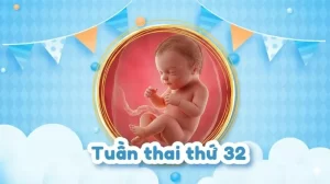 Thai 32 tuần: Thai nhi phát triển ra sao và mẹ bầu cần lưu ý gì?