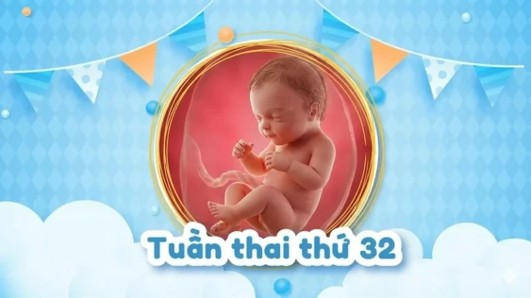 Thai 32 tuần: Thai nhi phát triển ra sao và mẹ bầu cần lưu ý gì?