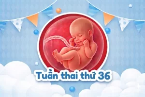 Thai 36 tuần: Bé quay đầu chưa và dấu hiệu sắp sinh