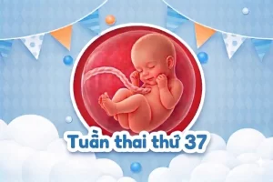 Thai 37 tuần: Đã đủ tháng chưa và mẹ cần làm gì lúc này?