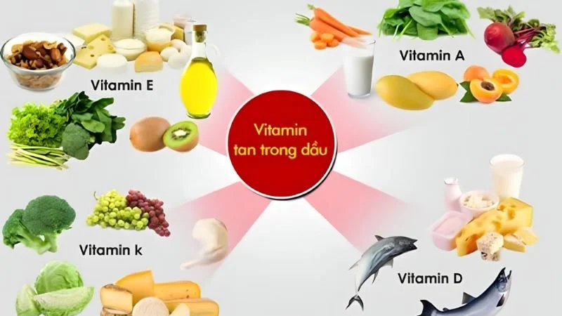 vitamin tan trong dầu